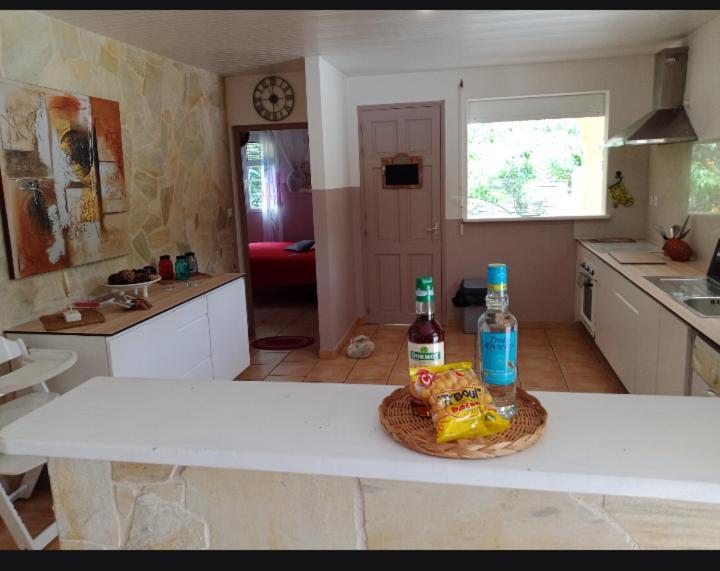 Villa Emmanuel Le Plaisir Des Vacances سانت لوسي المظهر الخارجي الصورة